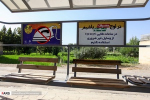 برنج‌کاری در شهر اصفهان