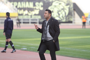 وحید فاضلی، فاضلی