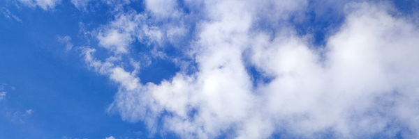 تصویر سربرگ نمایه‌ی ‌حمیده آقاجانی‌