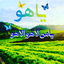 تصویر نمایه‌ی ‌حامد‌