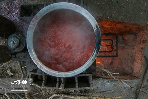 تهیه رُب انار 