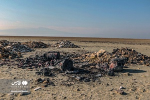 خطر! بیخِ گوشِ «مَهارلو» 