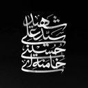تصویر نمایه‌ی ‌محمد حسین خادمیان‌