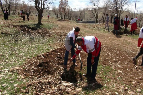ایلام