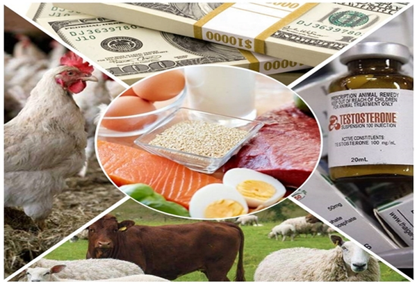 صادرات دامپزشکی