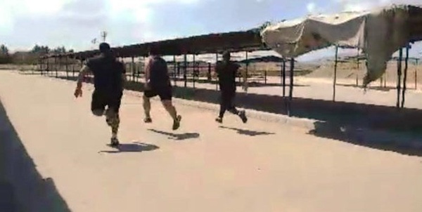 مهردلان