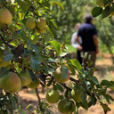 تصویر نمایه‌ی ‌علی‌
