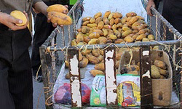 بازار میوه،بازار تره بار