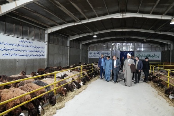 کلات
