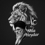 تصویر نمایه‌ی ‌Hosein Irani‌