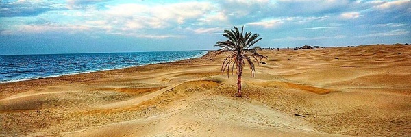 تصویر سربرگ نمایه‌ی ‌امیر افشین اشکانی‌