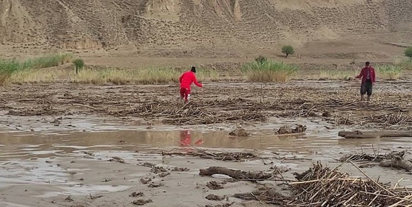 سیل گلستان