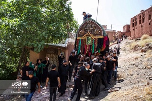 آیین نخل گردانی و مراسم عزاداری عاشورای حسینی در روستای ابیانه