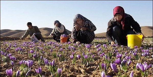 اشتغال روستایی