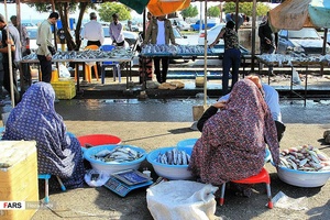 بازار «ماهی‌فروشان» بندرعباس