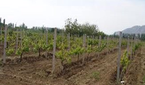 جهاد کشاورزی