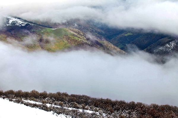هواشناسی باران