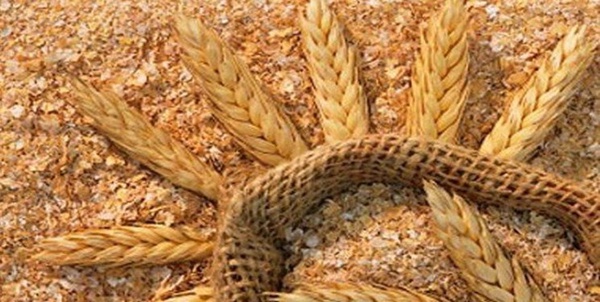 سبوس