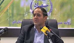 طلایی