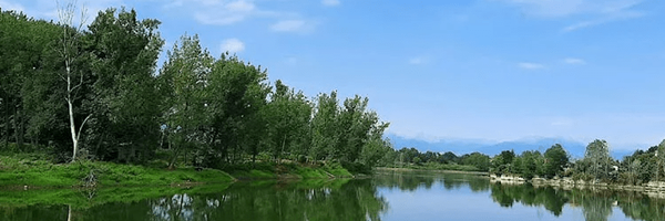 تصویر سربرگ نمایه‌ی ‌صاد عاشوری‌