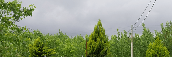 تصویر سربرگ نمایه‌ی ‌عارف واعظی‌