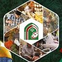 تصویر نمایه‌ی ‌بسیج اصناف‌