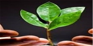 اصلاح سبک زندگی