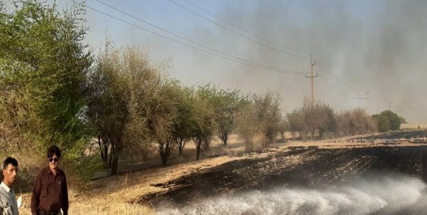 آتش‌سوزی تفرجگاه جاده سد ک