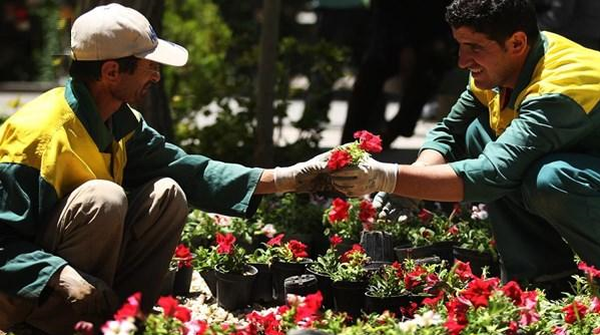 کارگران فضای سبز