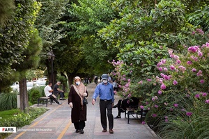 بلوار کشاورز. تهران