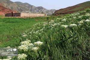 کاروانسرای گویجه بل اهر