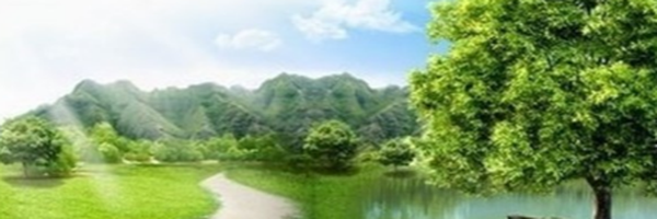 تصویر سربرگ نمایه‌ی ‌مرتضی ف‌