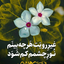 تصویر نمایه‌ی ‌ربابه اسلامجو‌