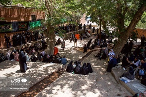 عاشورای حسینی در روستای ابیانه