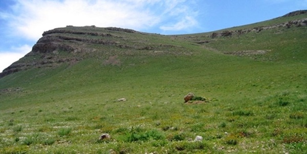 مرتع