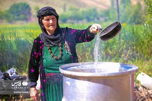 دومین جشنواره گلاب‌گیری امروله