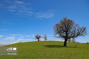 طبیعت «کول میشان»