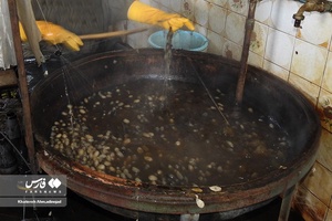 از پیله تا نخ ابریشم در گیلان 