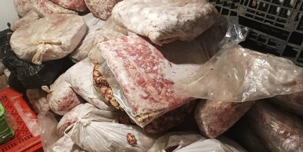گوشت فاسد