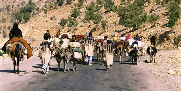 عشایر