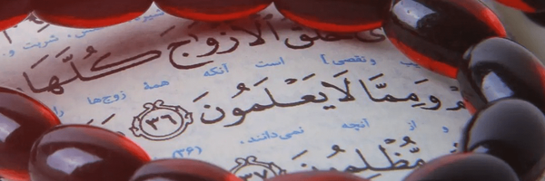 تصویر سربرگ نمایه‌ی ‌میلاد منفردیان راد‌