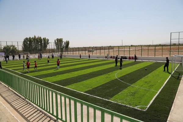 زمین چمن