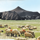 تصویر نمایه‌ی ‌مصطفی حمزه ای‌