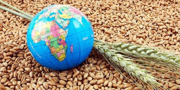 امنیت غذایی 