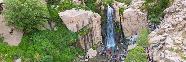 تصویر سربرگ نمایه‌ی ‌علی فردوسی‌پور‌