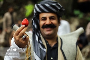 چهارمین جشنواره توت‌فرنگی شیان