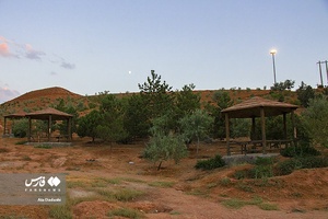 پارک جنگلی آرپادره سی
