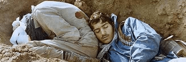 تصویر سربرگ نمایه‌ی ‌شیخ غیربهایی‌