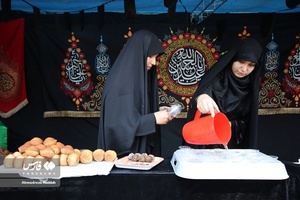 پنجمین همایش «شهدای جهادگر» در فارس