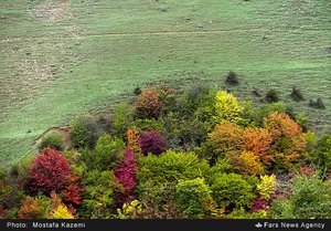 منطقه چهار دانگه ساری. روستاهای الندان و کیاده